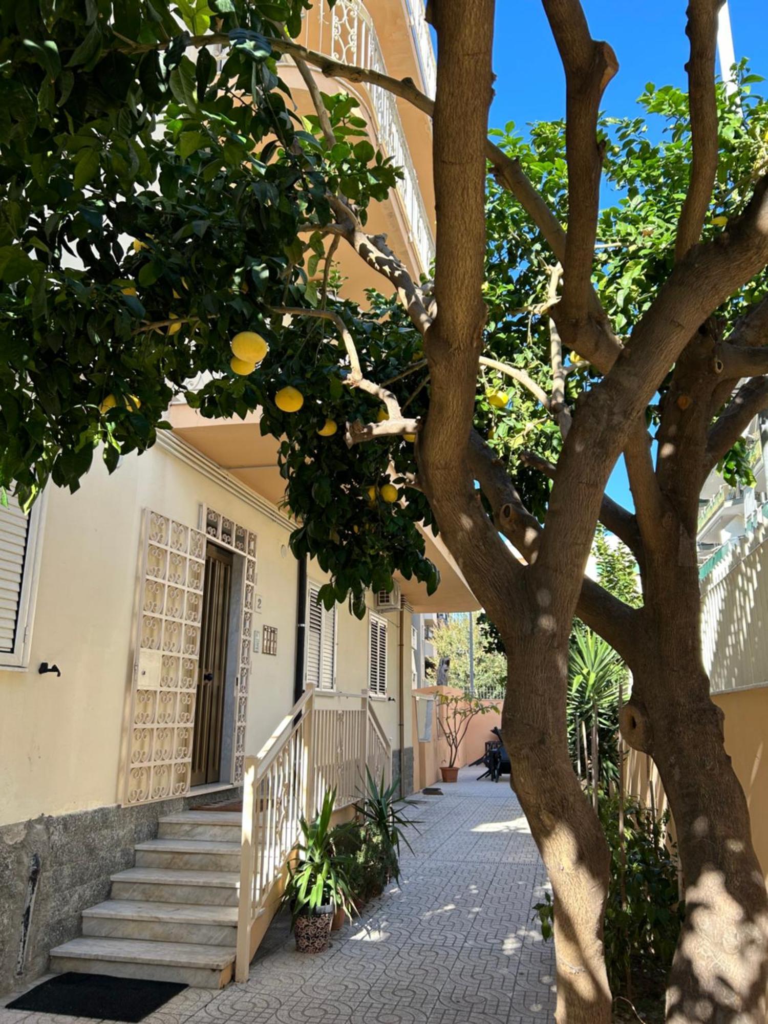 B&B Confort Reggio di Calabria Eksteriør billede